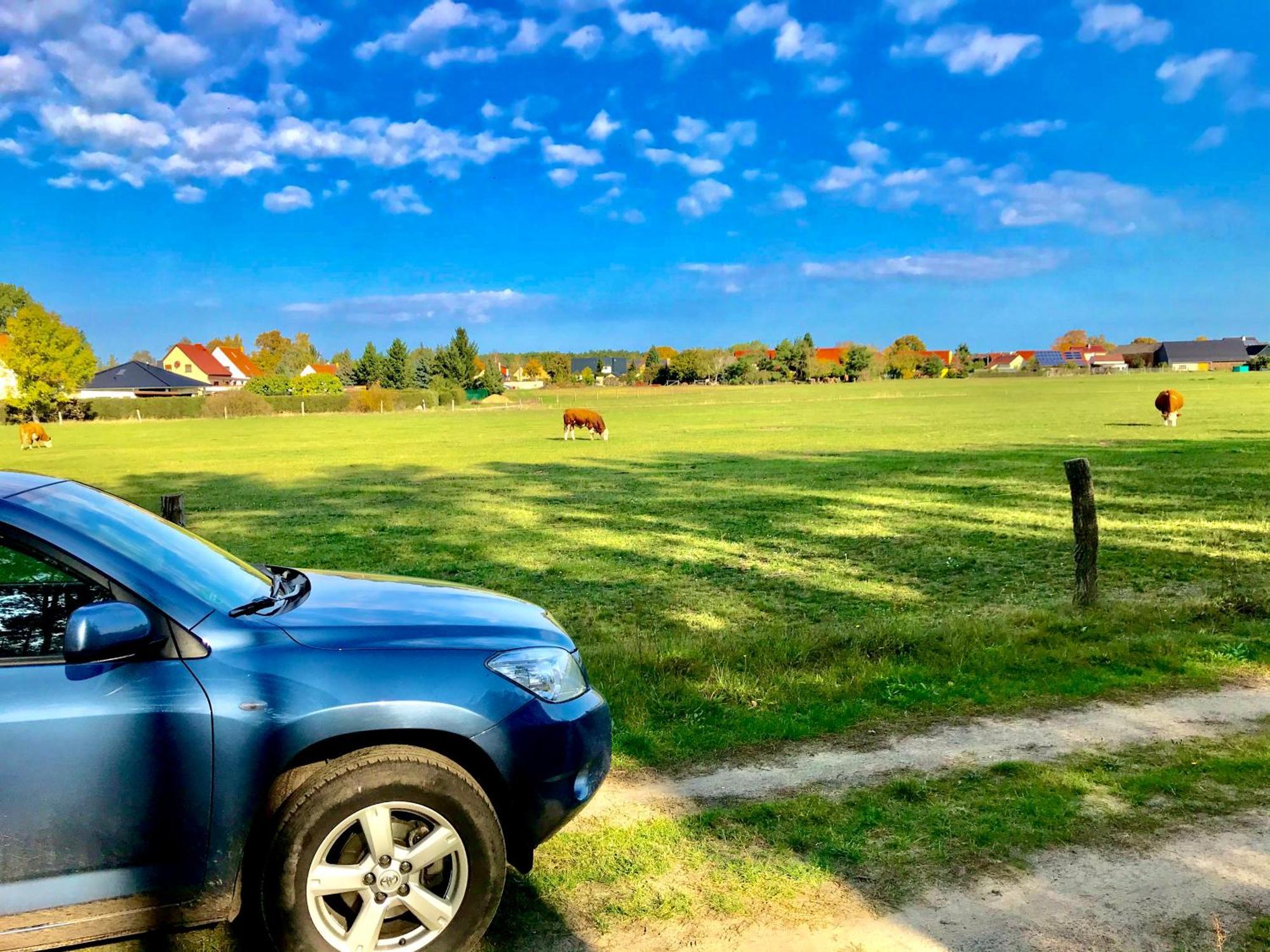 Top-Moderne Ferienwohnung Und Apartments Auf Frueherem Wunderschoenen Bauernhof Im Elbe-Elster-Kreis In Brandenburg Bei Herzberg-Elster, Schoenewalde, Holzdorf Экстерьер фото